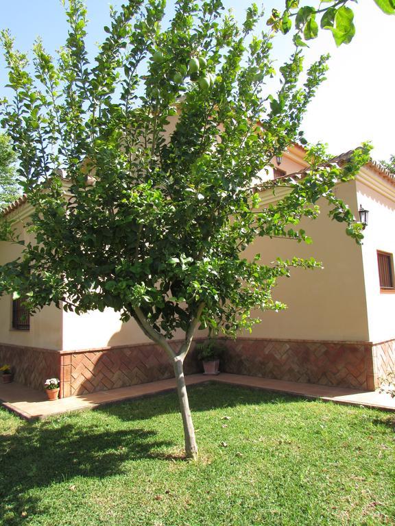 Casa Rural Oregano 卡莫纳 外观 照片